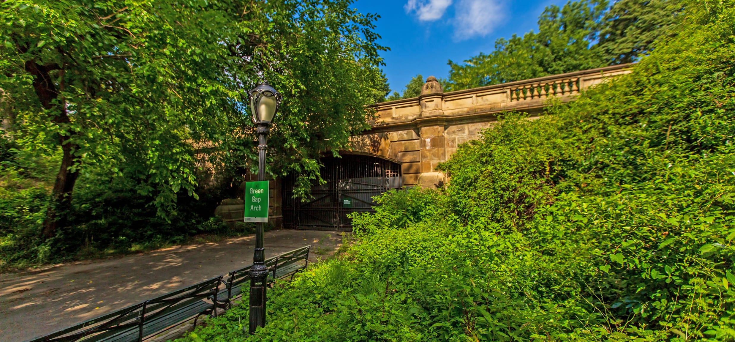 Central Park New York greenery